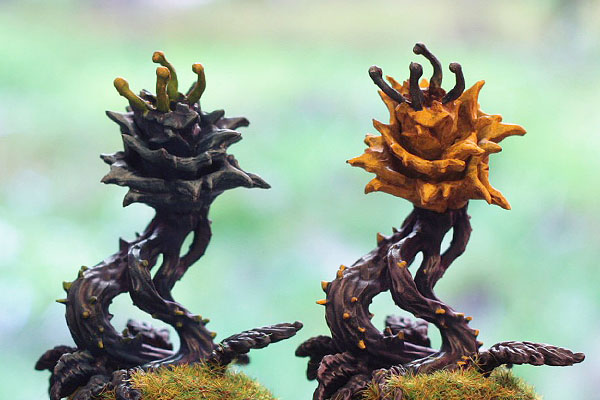  plante carnivor  